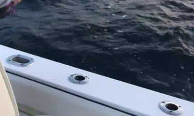 Pompano Beach Report Video 0