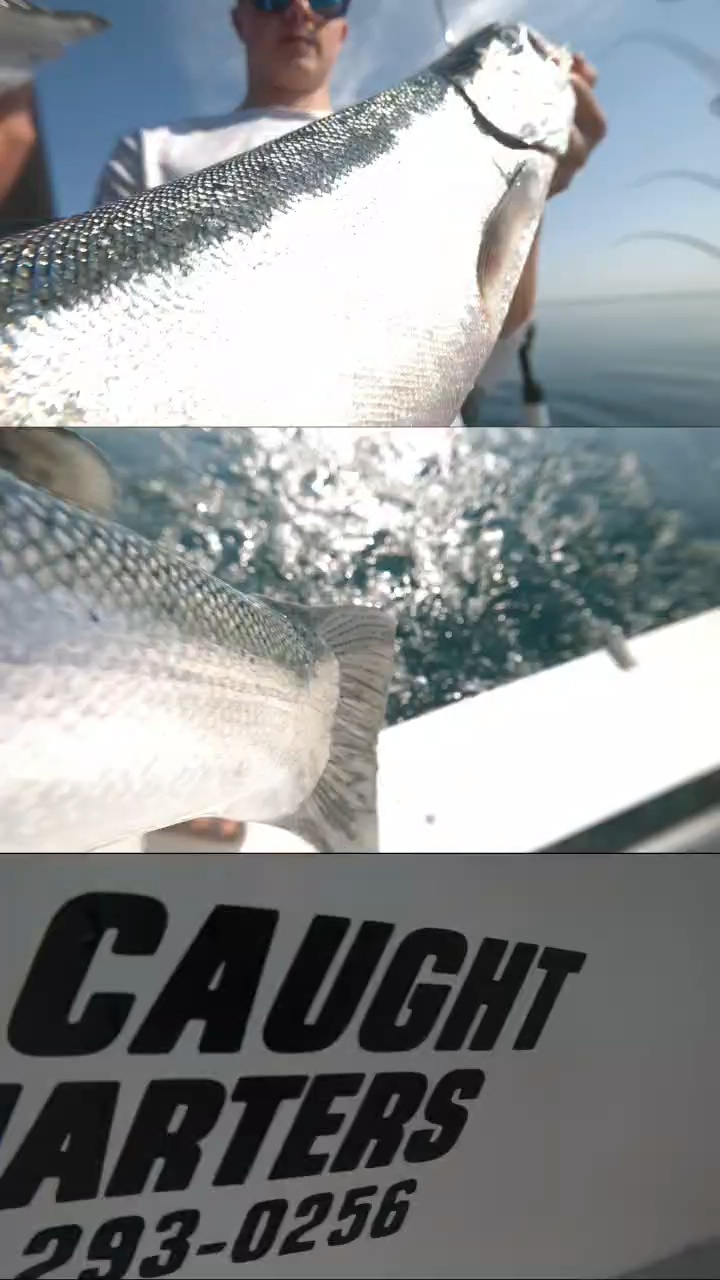 Business Card: 2 B Caught Charters