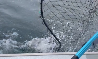 Awesome Halibut Fishing!! 
