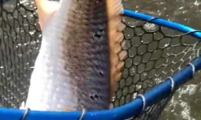 Lake Charles Report Video 0