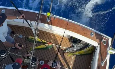 St. Thomas Report Video 0