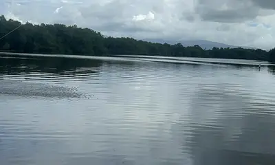 Carolina Report Video 0