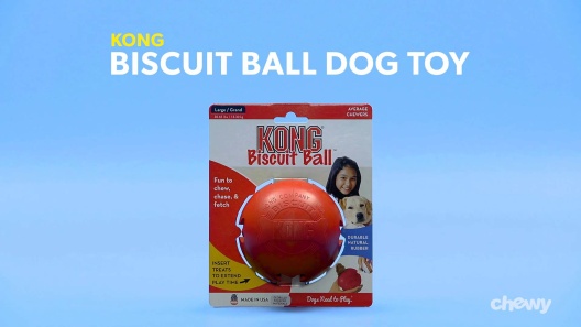 Kong Biscuit Ball Dog Toy