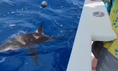 Playa Del Carmen Report Video 0