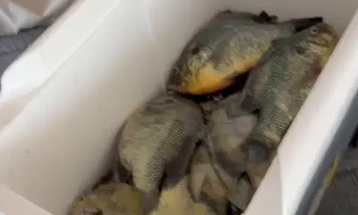 Lake Wales Report Video 0