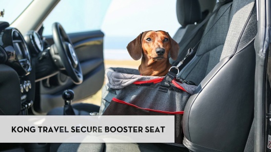 KONG Secure Dog Booster Seat 