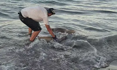 West Palm Beach Report Video 1