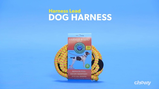 Play Video: Learn More About Harness Lead From Our Team of Experts