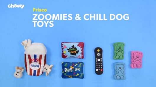 Discontinued - FRISCO Zoomies & Chill Gummy Bear Plush Squeaky Dog Toy ...