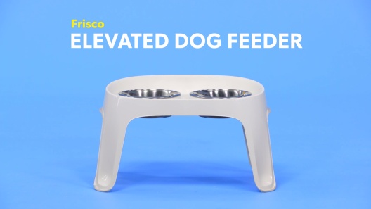 Frisco Elevated Dog Diner, 8 Cup, White