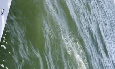 Awesome, unexpected catches