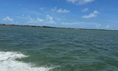 Outstanding Sandbar\/Fishing excursion! Highly recommended!