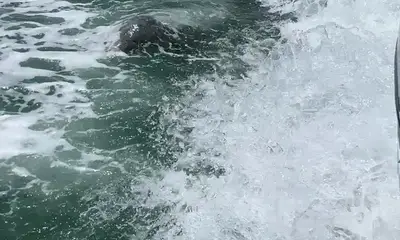 Amazing Boat Day With Captain Rob!!