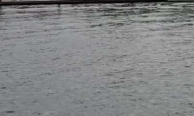 Awesome Charter Captain!