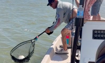 Incredible, knowledgeable, and patient guide - best fishing experience we've had.