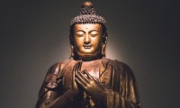 The Life of the Buddha