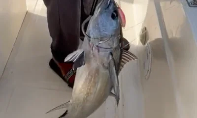 Fujairah Report Video 2