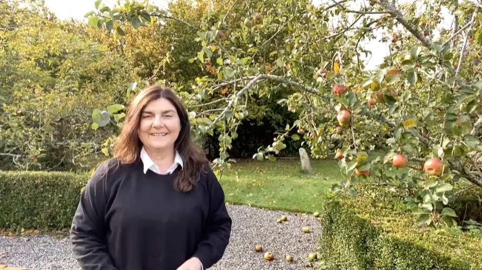 Equestrian Tai Chi Connected