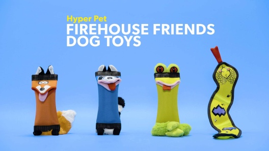 Hyper-Pet Fire Hose Friends Frog