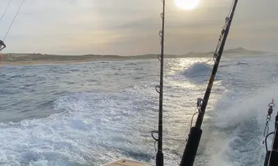 Cabo San Lucas Report Video 1
