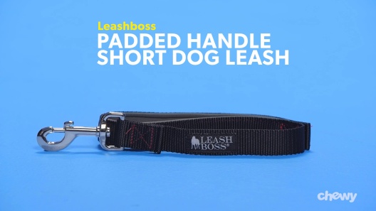 Leashboss Padded Handle Short Dog Leash, Black, 30-in