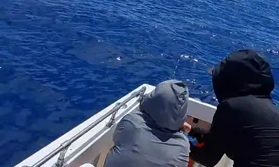 Reporte de San Jose del Cabo Video 0