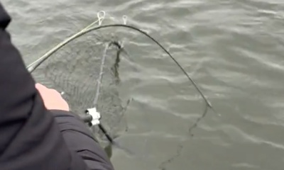 Saint Joseph river winter Steelhead