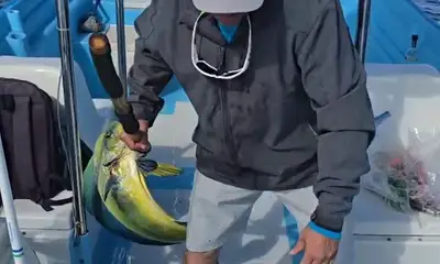 Puerto San Carlos Report Video 0