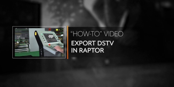 Export DSTV in Raptor Export DSTV in Raptor