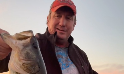 Tarpon Springs Report Video 0