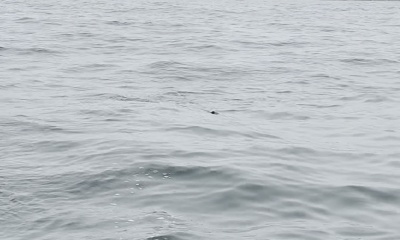 August fishing trip