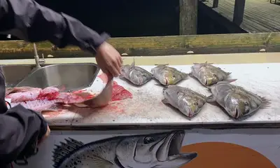 Highly recommended experience!