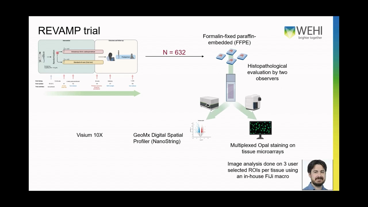simoa-assay-kits
