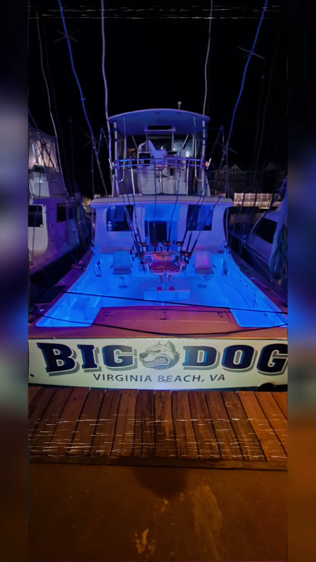 Business Card: Big Dog Charters