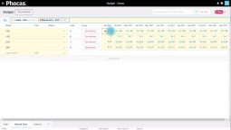 How to handle key variables, such as currency, in the budget