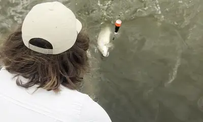 Matagorda Видео отчет 0
