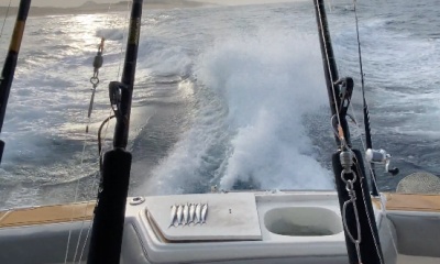 Cabo San Lucas Report Video 2