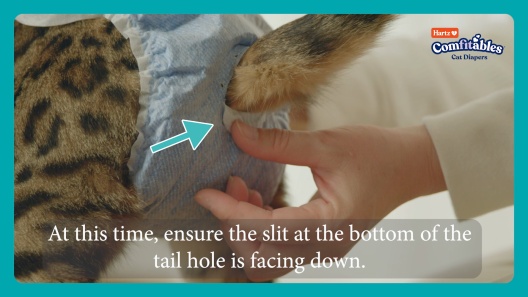 Hartz Comfitables Male & Female Cat Diapers