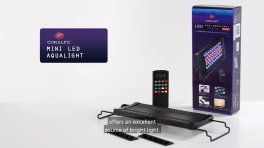 Play Video: Learn More About Coralife From Our Team of Experts