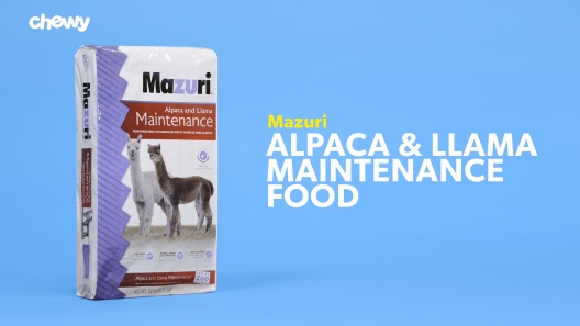 Three New Feeding Trends for Your Alpaca Farm – Mazuri