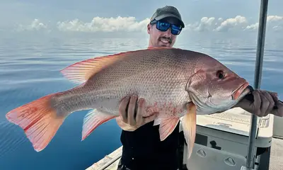 Port Douglas Report Video 0