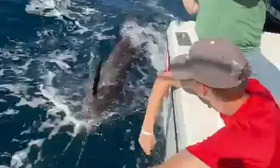 9 ft Sailfish