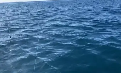 not even fare fishing trips