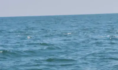 Folly Beach Report Video 0