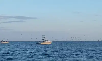 Chesapeake Bay Report Video 1