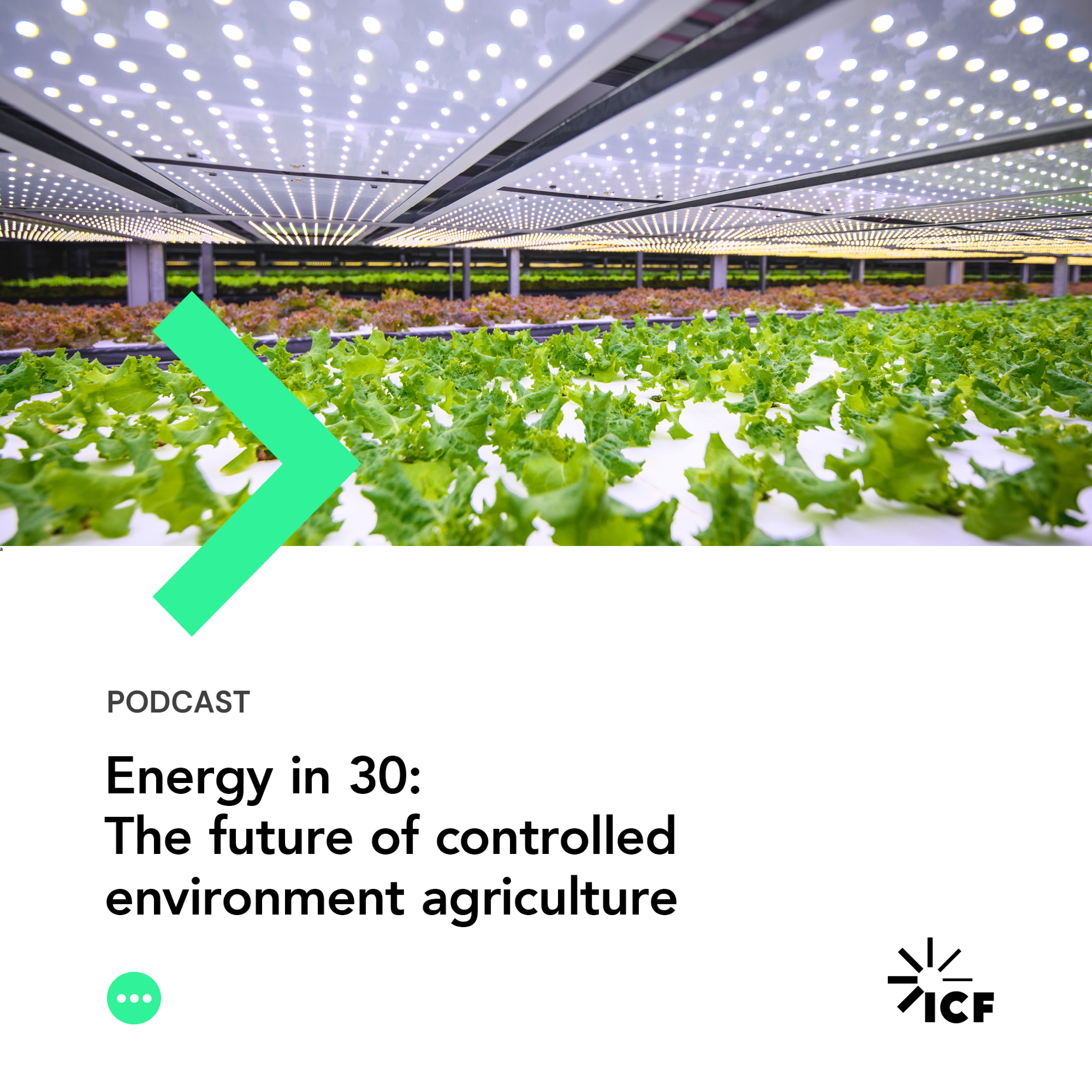 Energy in 30 #14: The future of controlled environment agriculture
