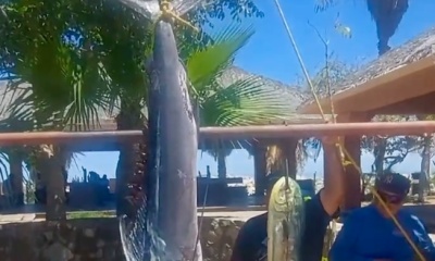 San Jose del Cabo Report Video 0