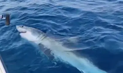 Fort Lauderdale Report Video 0