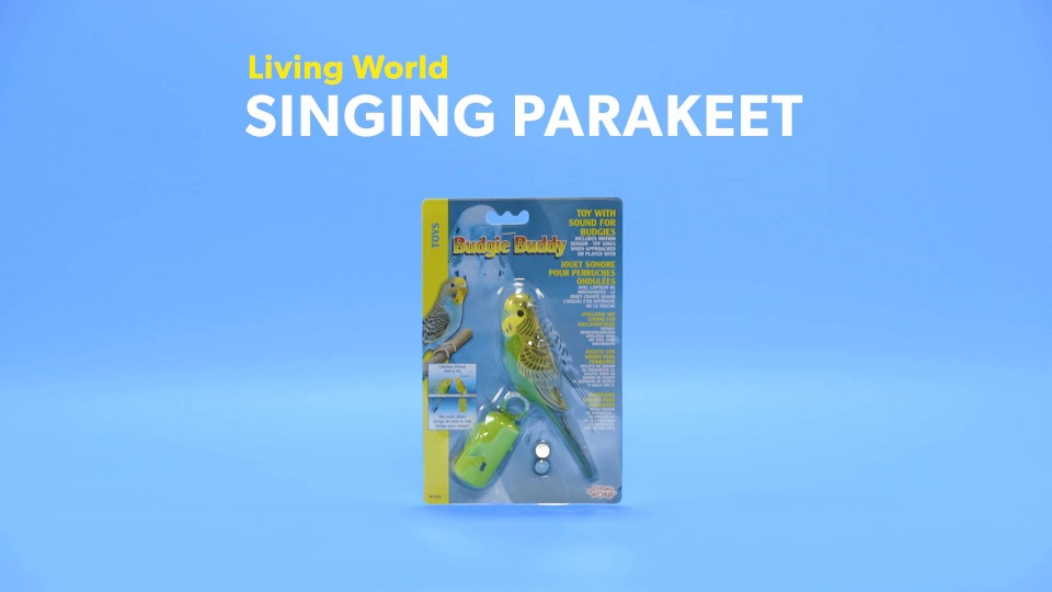 Livingworldsingingparakeetbirdr0