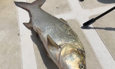 More than just a fishing trip
